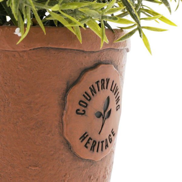 Country Living Aged Herb Pot