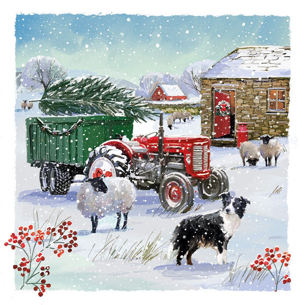 Farmyard Friends Twin Pack