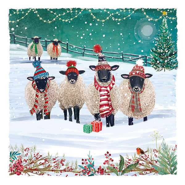 Warm Winter Woollies