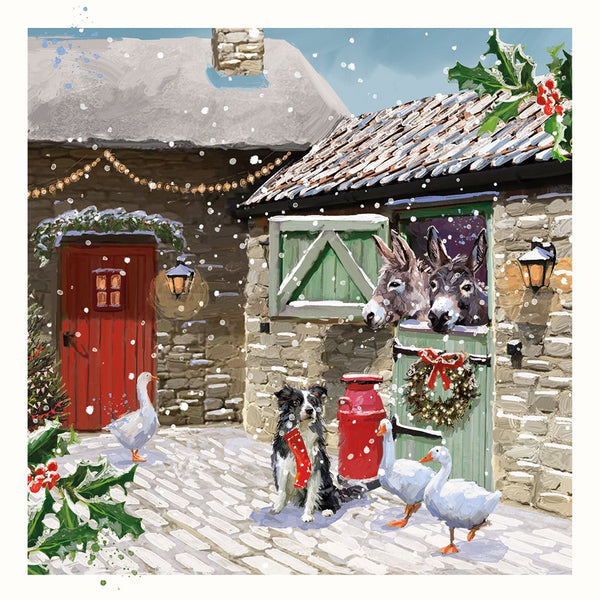 Farmyard Friends Twin Pack