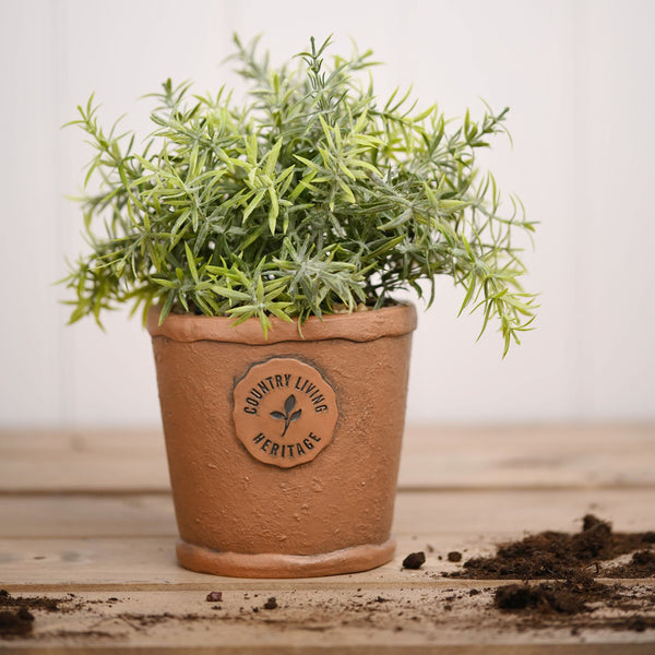 Country Living Aged Herb Pot