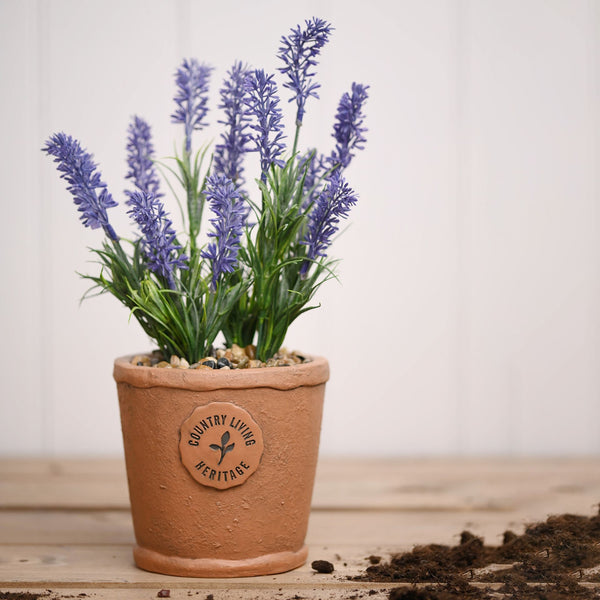 Country Living Aged Herb Pot - Lavender