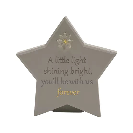 Memorial Star Light Up Plaque