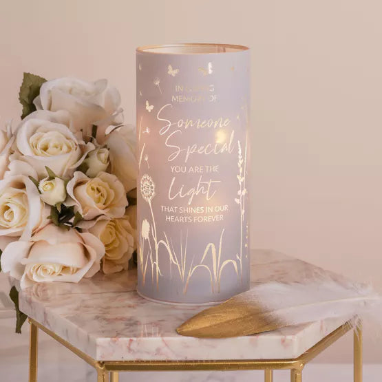 Tube Light - Someone Special