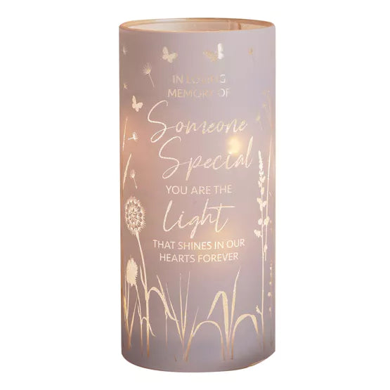 Tube Light - Someone Special