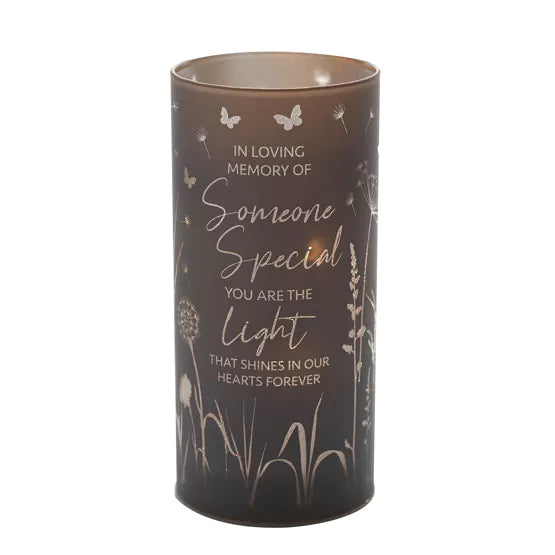 Tube Light - Someone Special